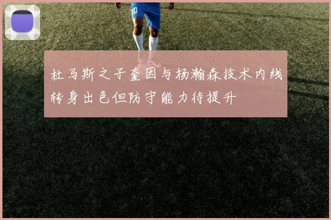 杜马斯之子奎因与杨瀚森技术内线转身出色但防守能力待提升
